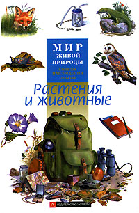 Растения и животные Серия: Божья коровка инфо 3513m.