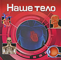 Наше тело Серия: Что есть что инфо 1066c.